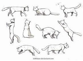 Featured image of post Dynamic Cat Poses Drawing