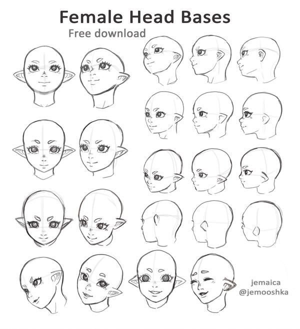 Featured image of post Face Base Drawing Female