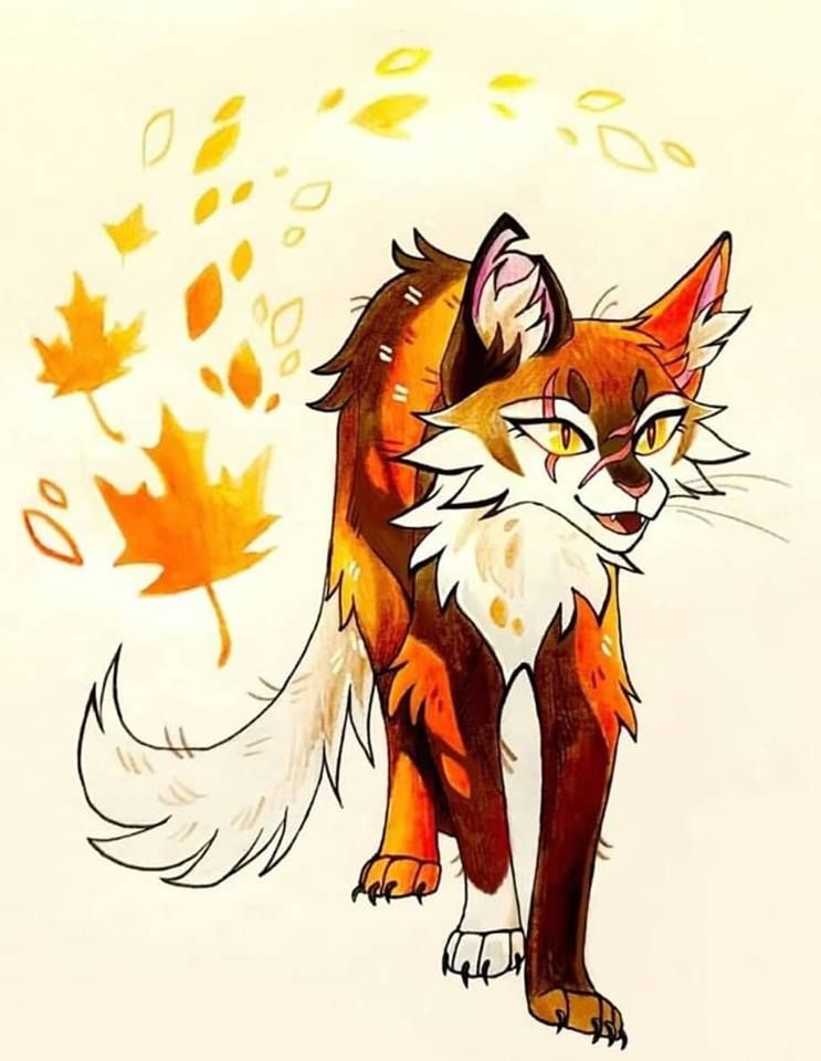 Featured image of post Warrior Cats Fan Art Mapleshade